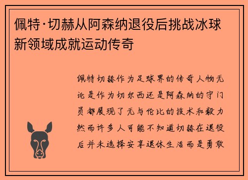 佩特·切赫从阿森纳退役后挑战冰球新领域成就运动传奇